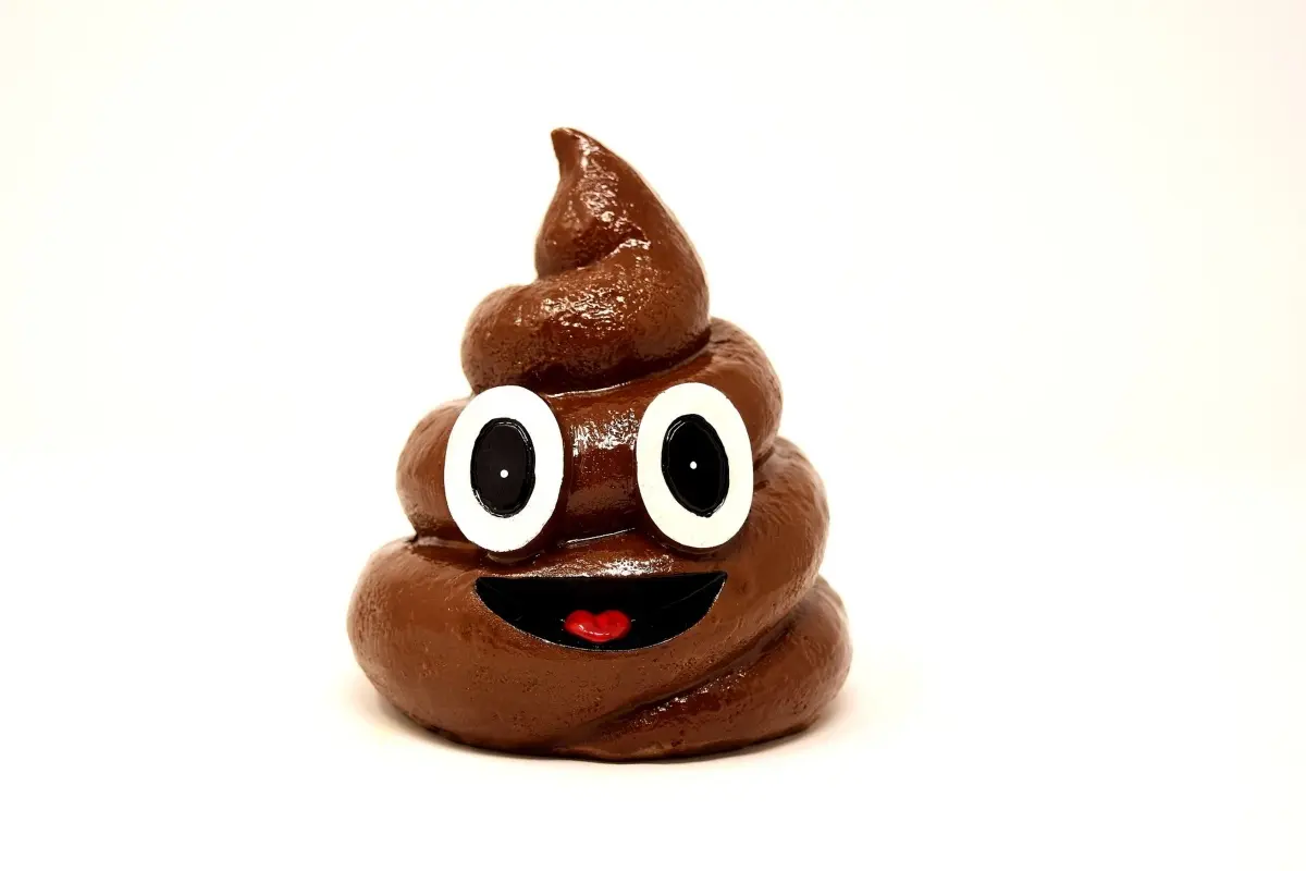 Keto and Poop - Something We Need to Talk About